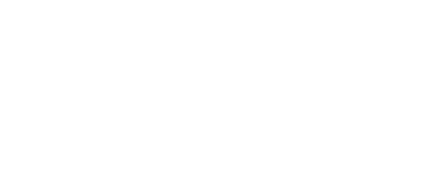 Palm View Village